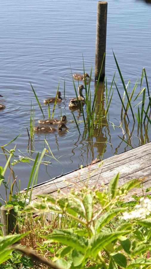 Buiten Huisje Aan De Vaart 1 Matsloot المظهر الخارجي الصورة