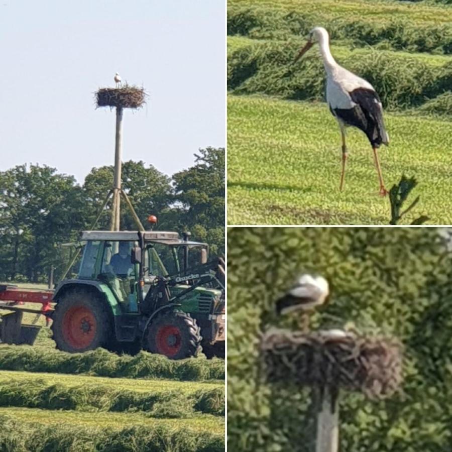 Buiten Huisje Aan De Vaart 1 Matsloot المظهر الخارجي الصورة
